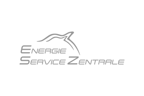 Logo ESZ, Kunde der BAROIAN Werbeagentur